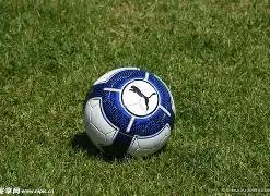 揭秘,原神,千星奇域全,体育彩票,足彩,足球彩票,玩彩网,足彩比分直播,足球比分直播,玩彩网足球,彩票,彩票网,玩彩网,福利彩票