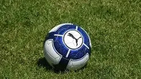 勒沃库森领跑德甲积分榜